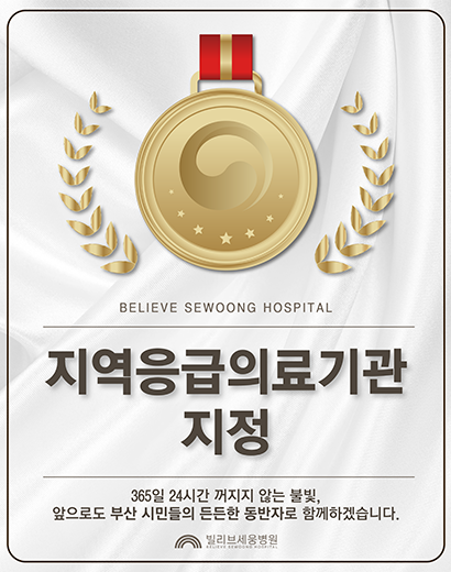 지역응급의료기관 지정